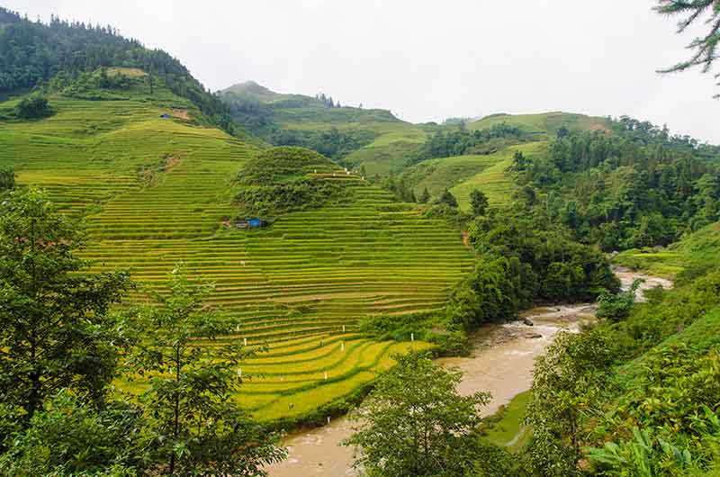 250 - Vietnam - montes Hoang Lien o Alpes Tonquineses - paisaje
